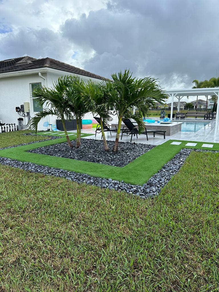 Palm tree feature garden by WPS