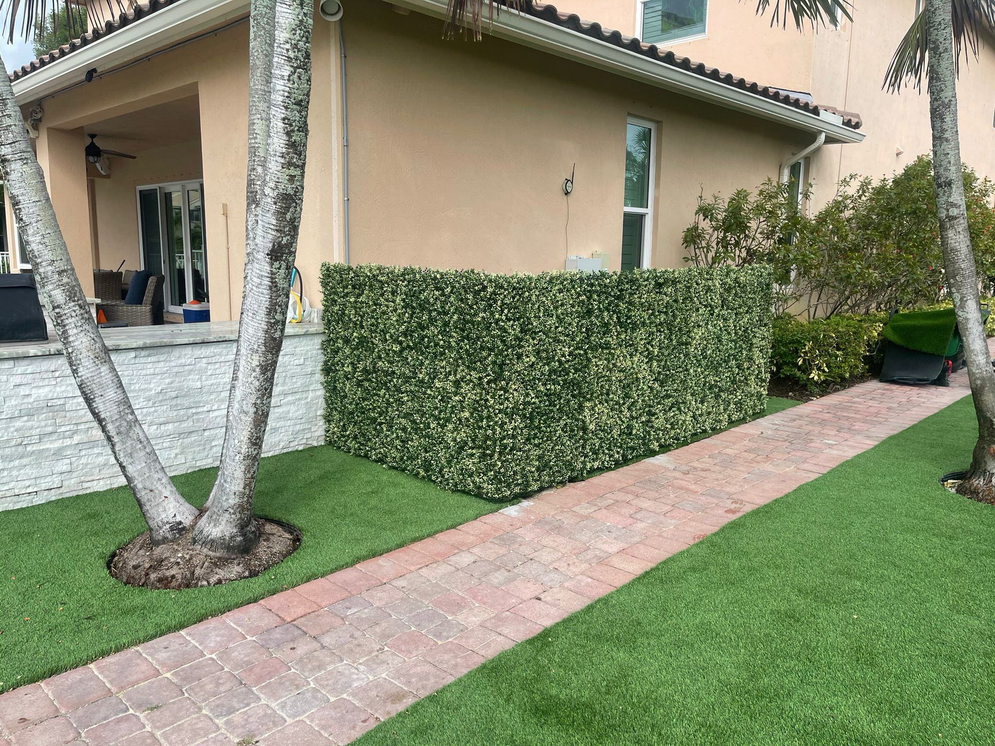 Privacy ivy installation with turf and paver path